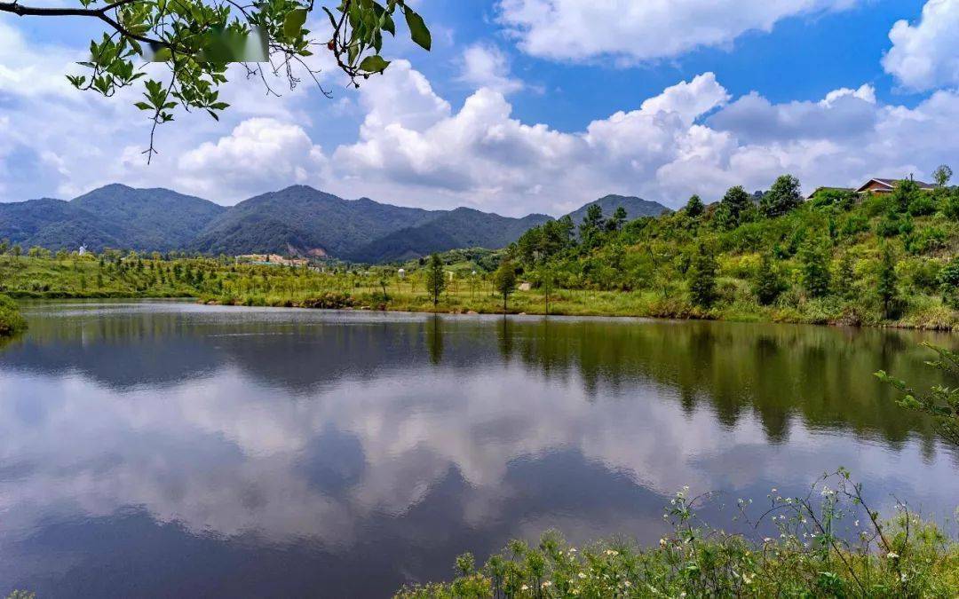 8%,内有东源康禾省级自然生态保护区和广东康禾温泉国家森林公园,2017