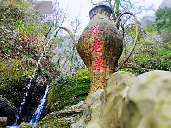 微改造·精提升 | 常山县白石镇精工出细活,打造三大特色景区_不老泉
