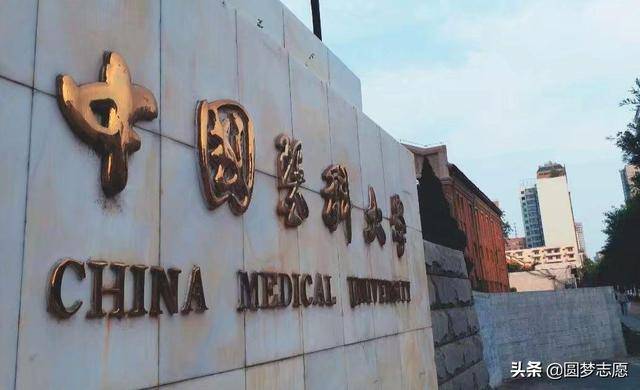 那么,为什么说千万别报中国医科大学呢?中国医科大学又是什么档次呢?