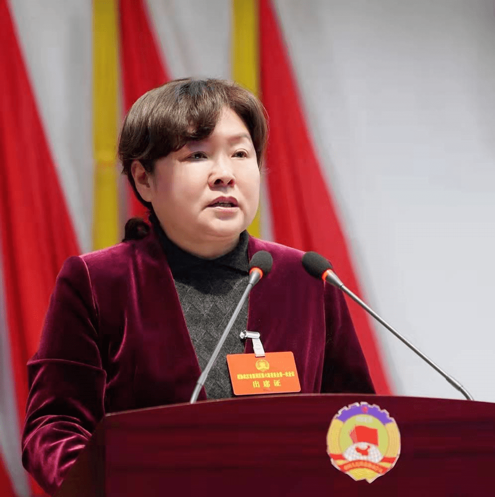 政协武汉市新洲区第六届委员会第一次会议开幕