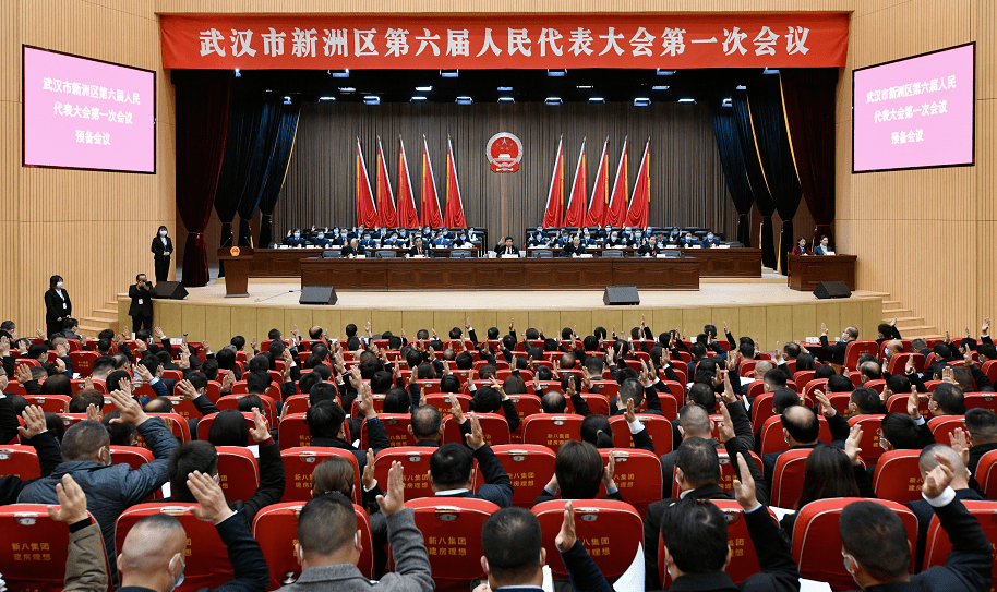 武汉市新洲区第六届人民代表大会第一次会议举行预备会议