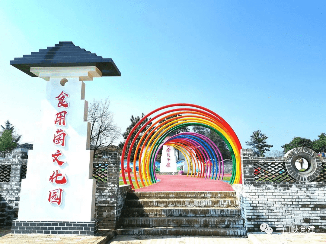 灵宝市抓实软弱涣散村党组织整顿夯实乡村振兴基础