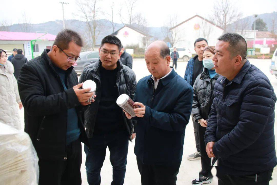 市委党史学习教育第三巡回指导组督导两当县党史学习教育开展情况