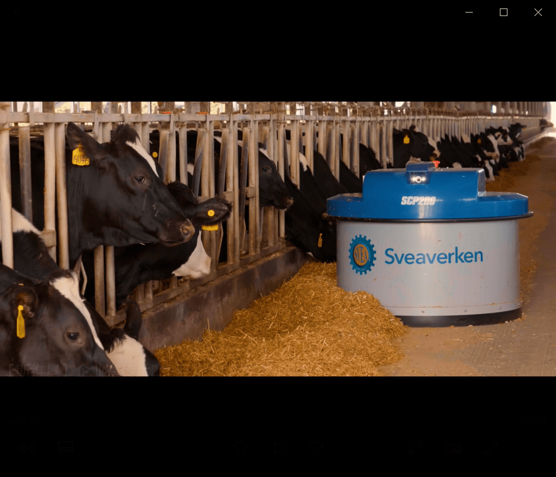 牧场智能化这么牛首农奶牛中心用机器人给奶牛推料