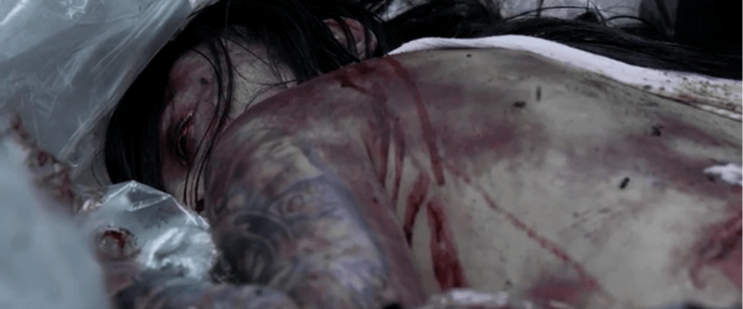 这品质还需要吹吗_展哥_王桃_任凯