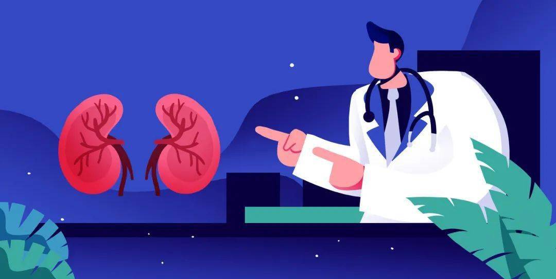 肾脏|认识人体的“隐形杀手”——慢性肾炎