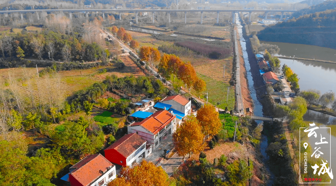 12月10号上午,家住襄城的郭先生到谷城茨河镇走亲戚,当他路过石井冲村