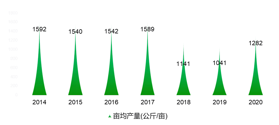 2021���ҹ�ʯ���ҵչ��������