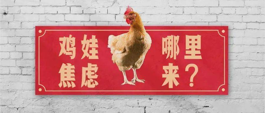 梦回现实，解析梦见老公抓绵鸡并命其被杀的深层含义