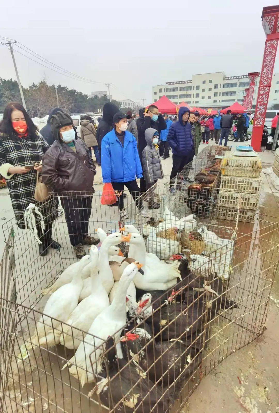 沈阳大集上新​！这份赶集时间表赶紧收藏