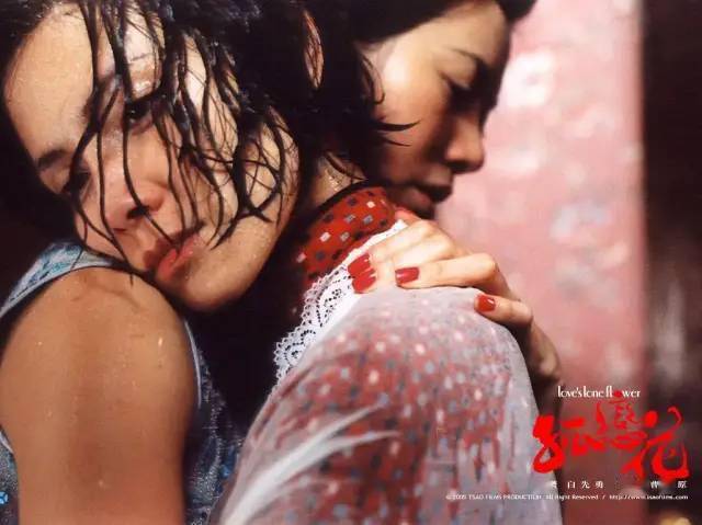 它叫《孤恋花》,曹瑞原导演2005年的作品,曹瑞原更有名的作品,大概是