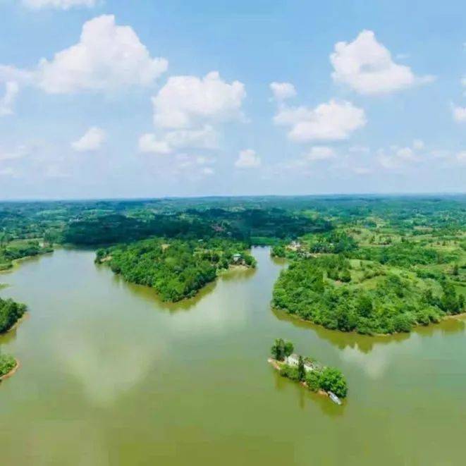 雁江区鲤鱼湖鲤鱼水库