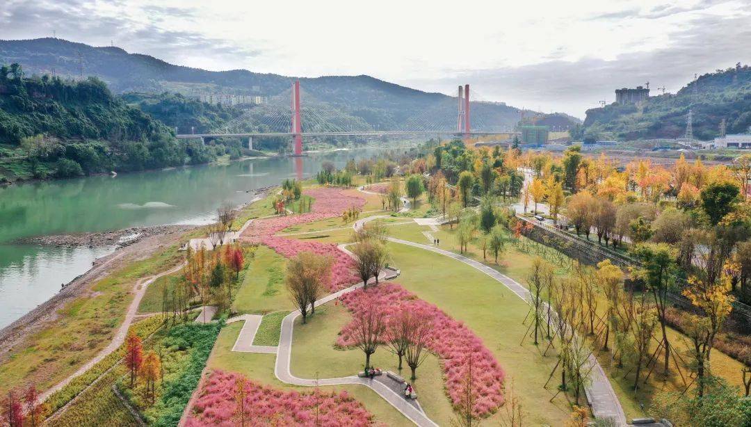 城市更新 | 达州:城市生态修复 再现绿水青山_湿地_景观_公园