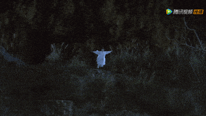 徐凤年|西楚嫔妃集体切腹自尽？《雪中悍刀行》开播槽点满满