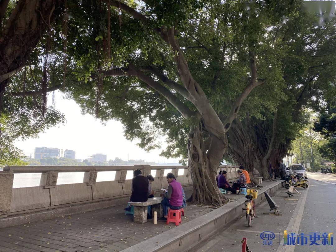 海珠仑头村遇见岭南水乡的绿意与江风羊城村史录76