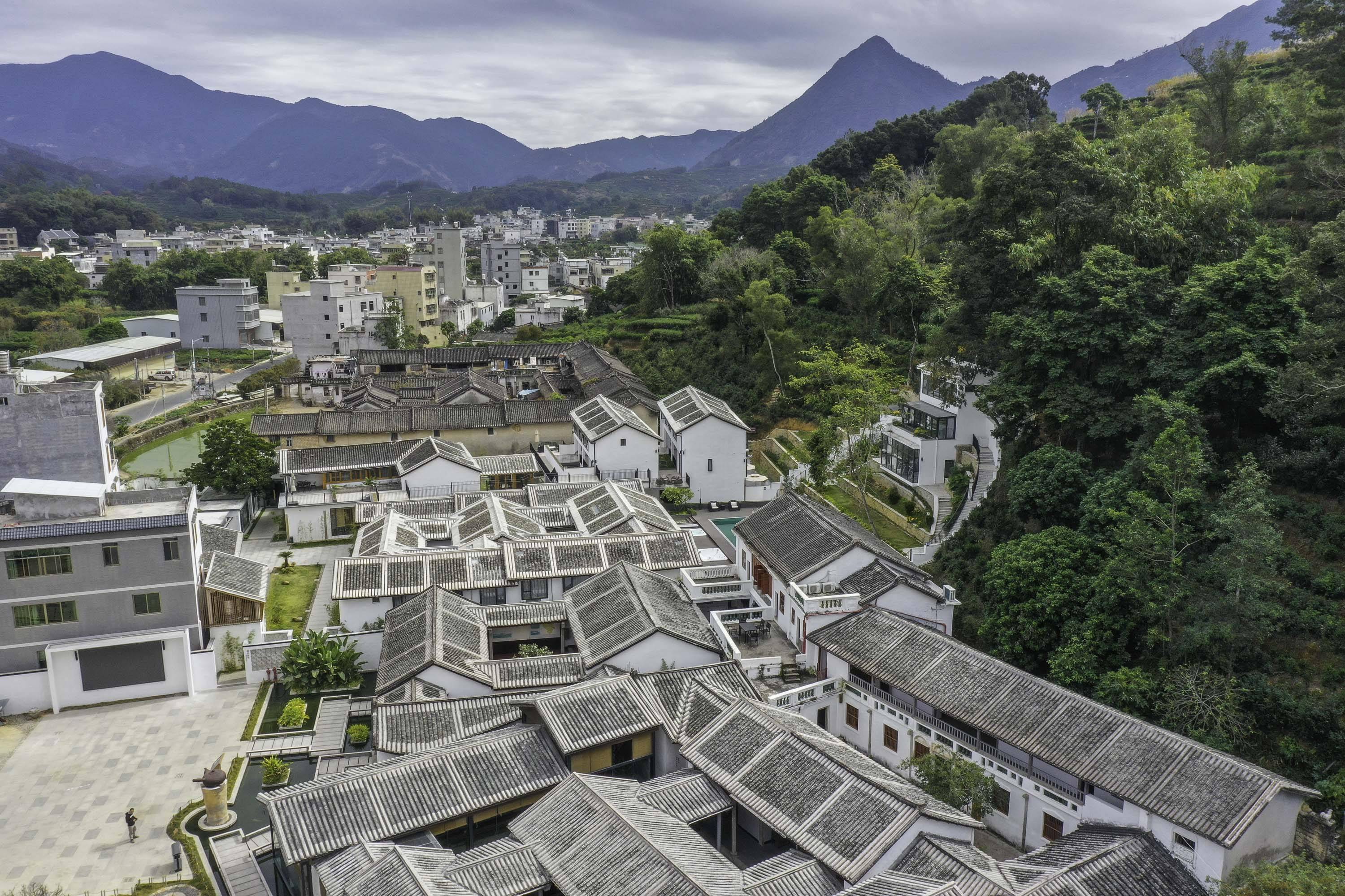 凤凰山|广东潮州：发掘工夫茶文化 带动乡村振兴