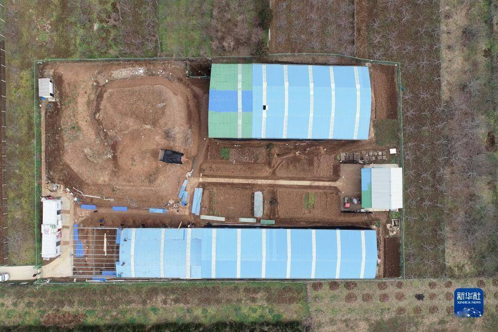 镜头|用镜头揭开霸陵神秘面纱