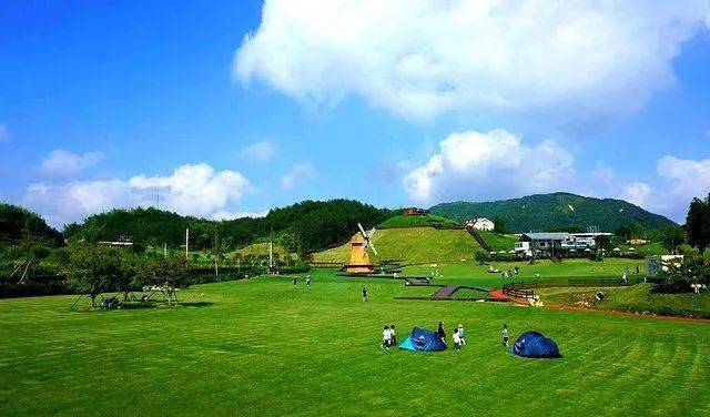 泰顺旅游|云岚牧场_奶牛_浙江省_度假