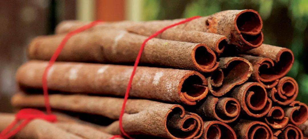 67美丽罗定罗定肉桂肉桂上品南桂之尊