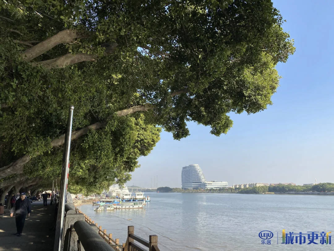 海珠仑头村遇见岭南水乡的绿意与江风羊城村史录76