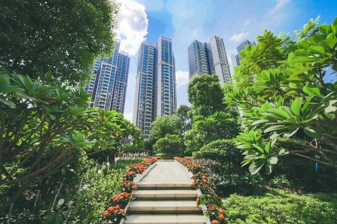 2021最后1个月佛山超1.8万套房将迎来交付,这60个小区业主在吗?_楼盘_项目_交房