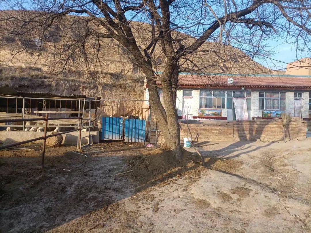 红黑榜西吉新营乡这些农户家因脏乱差被曝光