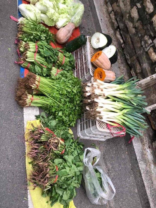 作为一个平民百姓,除了一日三餐,我也喜欢仰望天空,喜欢欣赏头顶上高