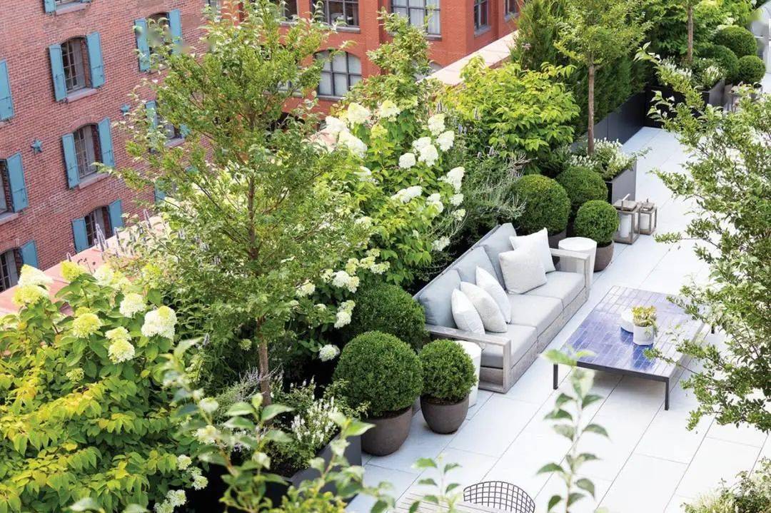 远离城市喧嚣,其实只需要一个屋顶花园,全方位打造指南已整理~_植物