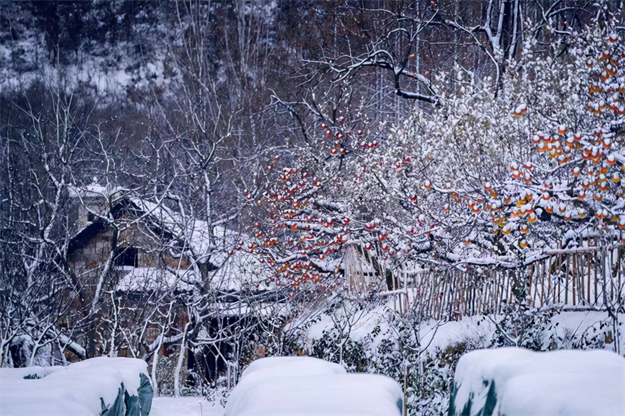 一场大雪后，威海里口山美成了“雪域天堂”