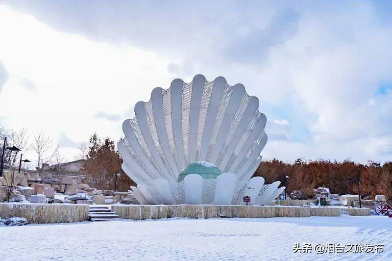 大雪|美出新高度！这样的烟台你肯定没见过！