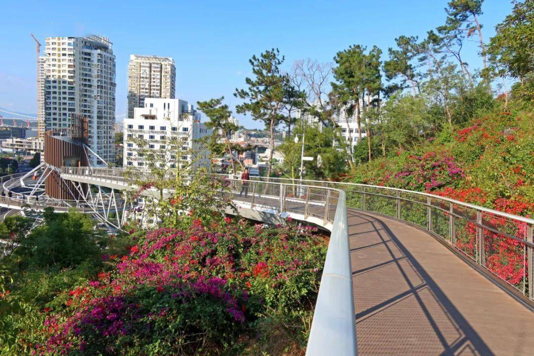 空间|厦门山海健康步道“上新”！1500㎡花海、5个便民服务点……