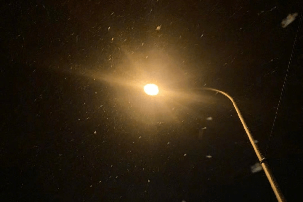 张一山等雪为杨紫庆生深夜斗嘴超有趣送上家有儿女回忆杀