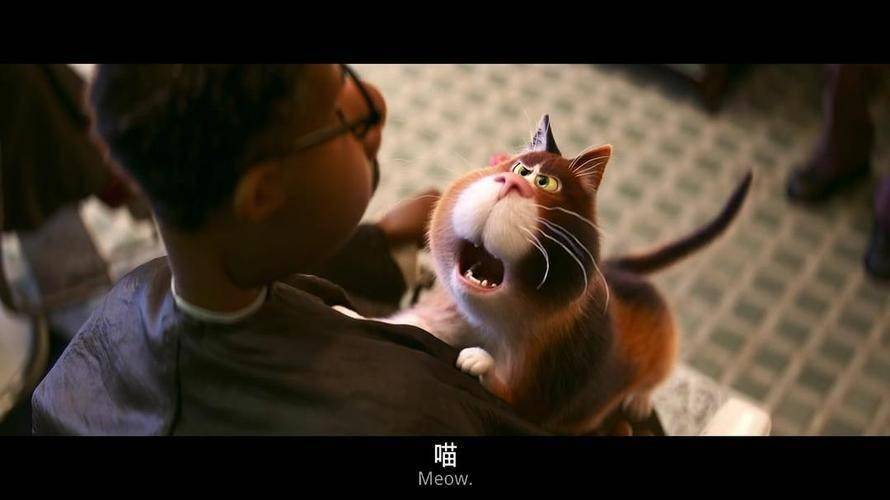 家长问我一二年级看什么电影我毫不犹豫地回复心灵奇旅