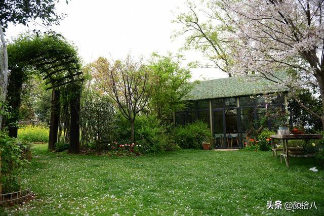 山友花园,藏在无锡山里的绿野仙踪 | 花园拜访_台阶_粉色_花瓣