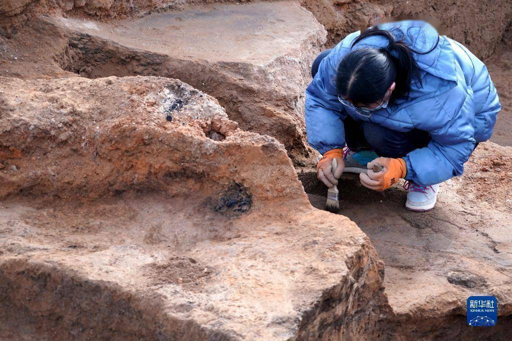 苏羊|河南苏羊遗址发现距今5000年前后多元文化交流重要实证