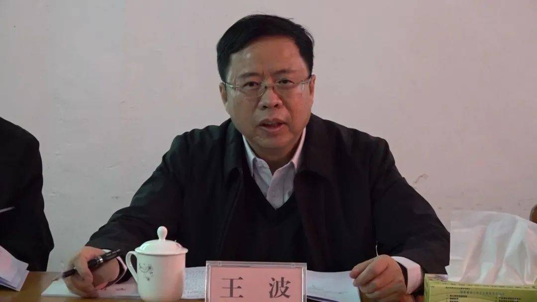 王波到新丰县开展定点联系和驻镇帮镇扶村工作调研