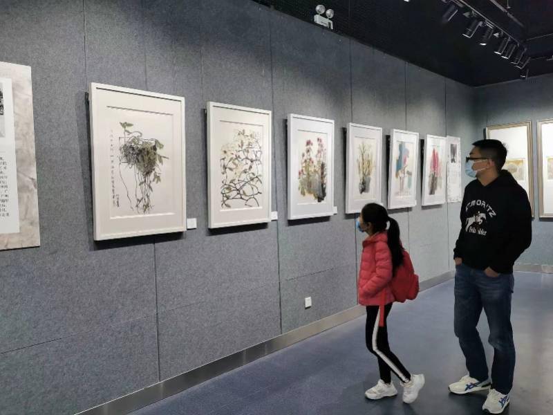 广东省|40余件新时代岭南花鸟画作品亮相广东省文化馆