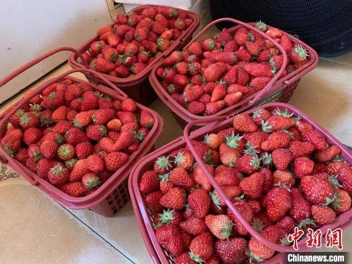 排泄物|“西安出现多例出血热”顶上热搜！你了解这种传染病吗？