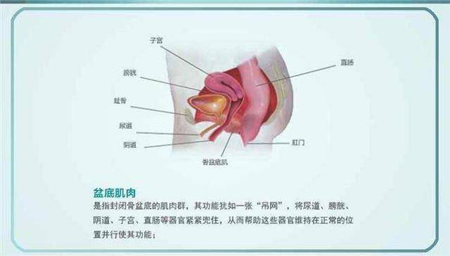 這不是秘密產後盆底肌有鬆弛應該怎麼辦