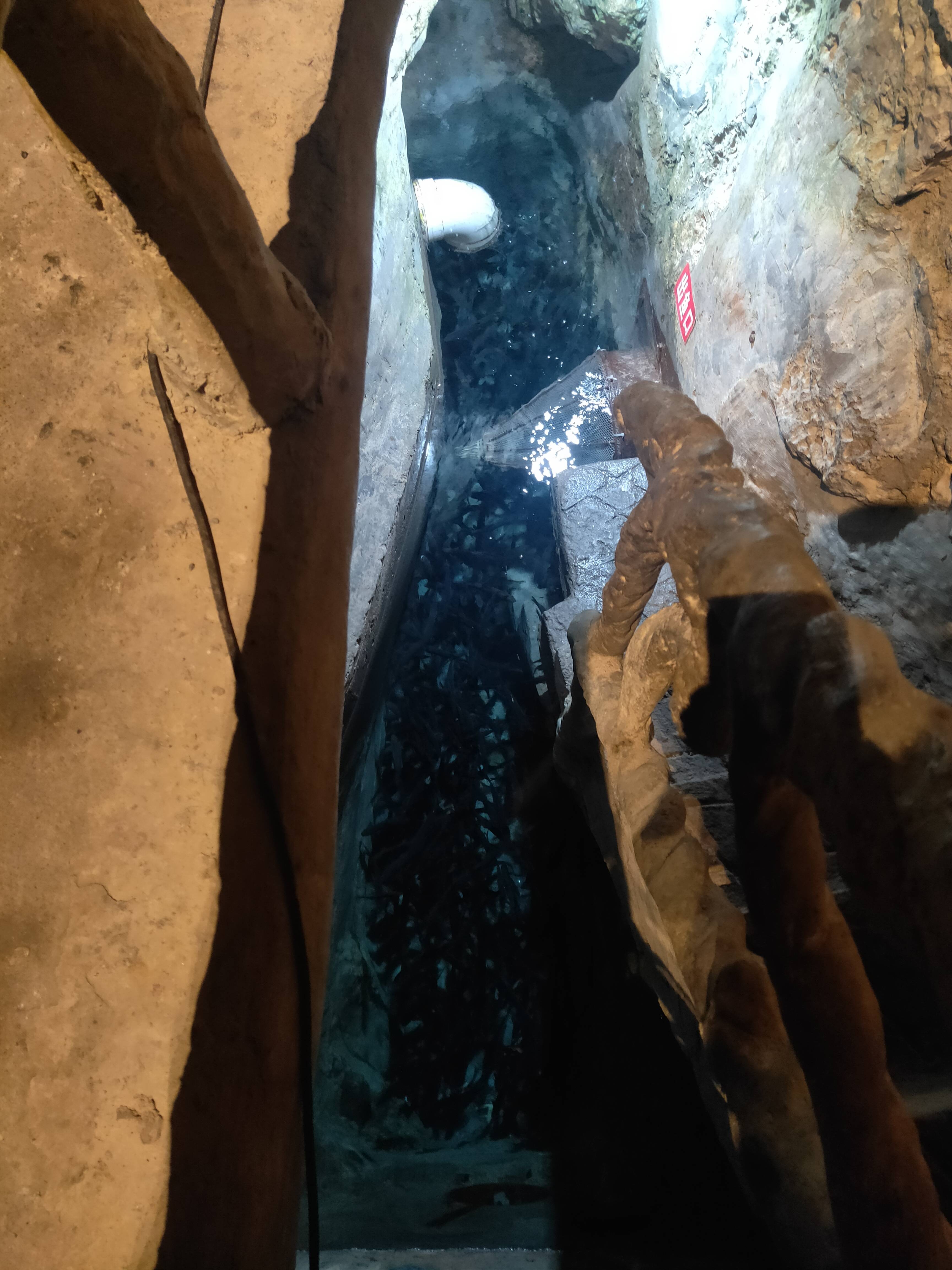 家惊现神秘鱼泉,打雷下雨天气涌出鱼儿1000余斤