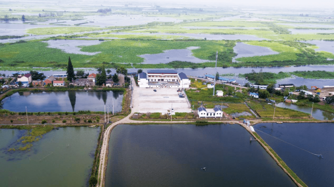 创业创新68产业富民——江苏省淮安市金湖县前锋镇白马湖村旅游扶贫