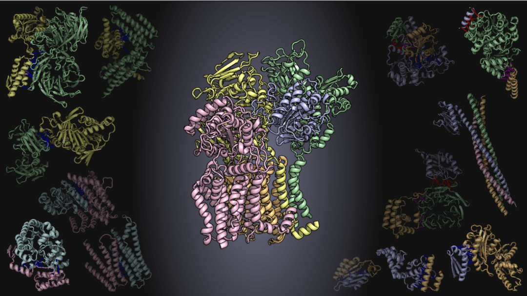前沿科学年度突破揭晓解决50年生物学难题它改变了一个领域