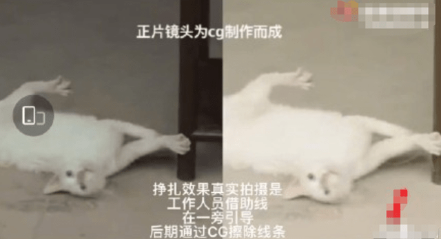 42296e7ed51a40c6afc9292a375baa8c.png