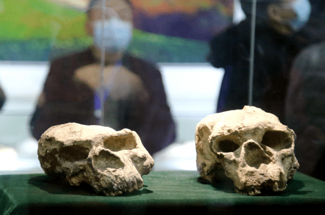 建设|南水北调大“水井” 万古一地大郧阳——十堰市郧阳区全力建设南水北调后续工程高质量发展示范区