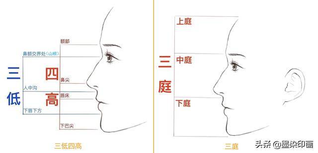 四高三低比例图图片