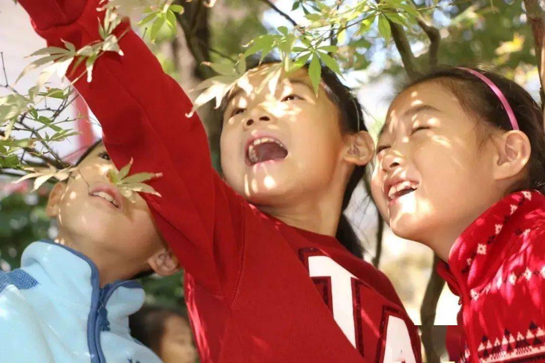 机构|征集 | 朱爱朝校长领衔的二十四节气课程，开放征集实验学校（机构）和班级啦~