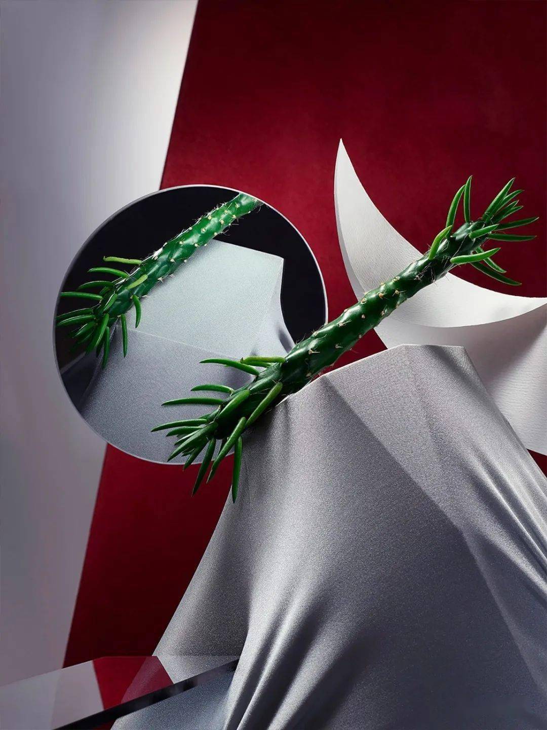 15幅有趣的静物广告摄影作品欣赏