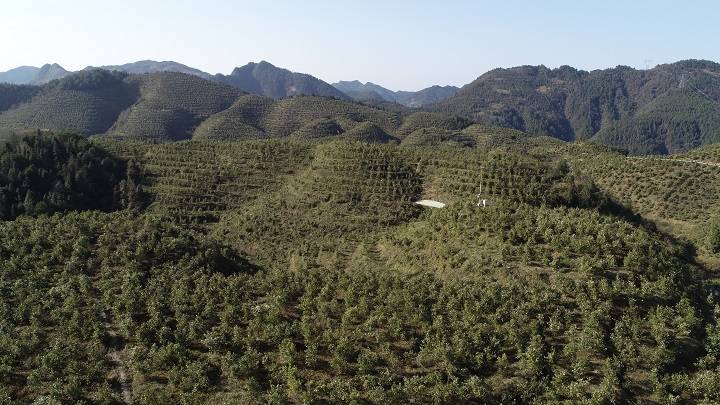 山水翩躚踏歌行千家樂業萬戶安松桃自治縣盤信鎮以一核兩翼三示範奮力