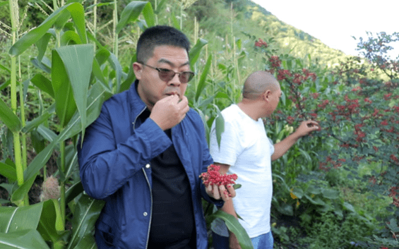 一站式就餐,聚会,边吃边玩,野妹火锅——餐饮风潮中的引领者_食材