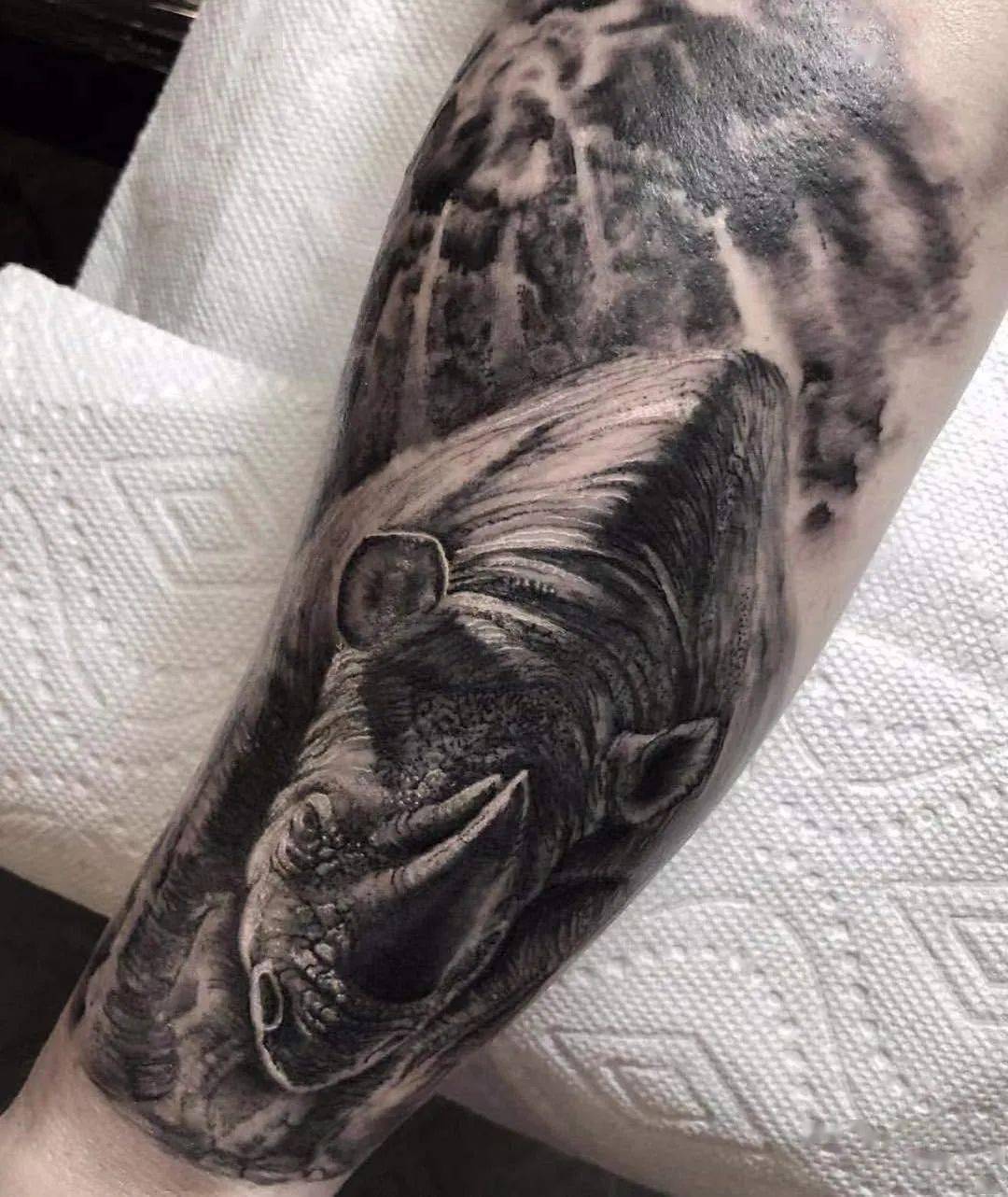 犀牛纹身图案图片